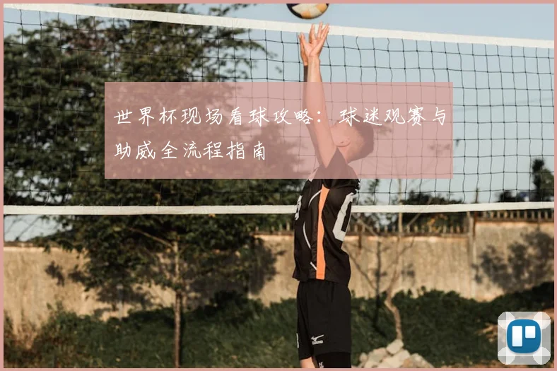 世界杯现场看球攻略:球迷观赛与助威全流程指南