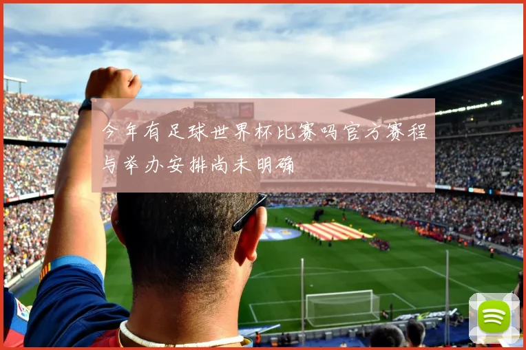 今年有足球世界杯比赛吗官方赛程与举办安排尚未明确