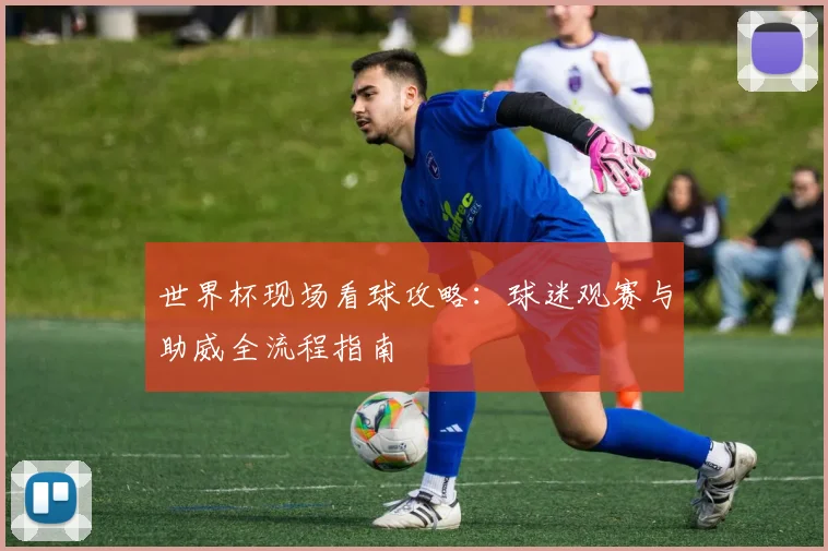 世界杯现场看球攻略:球迷观赛与助威全流程指南