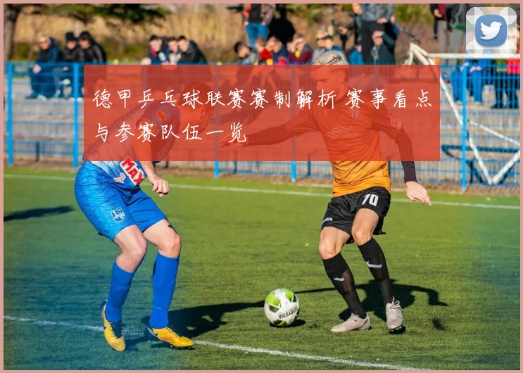 德甲乒乓球联赛赛制解析 赛事看点与参赛队伍一览